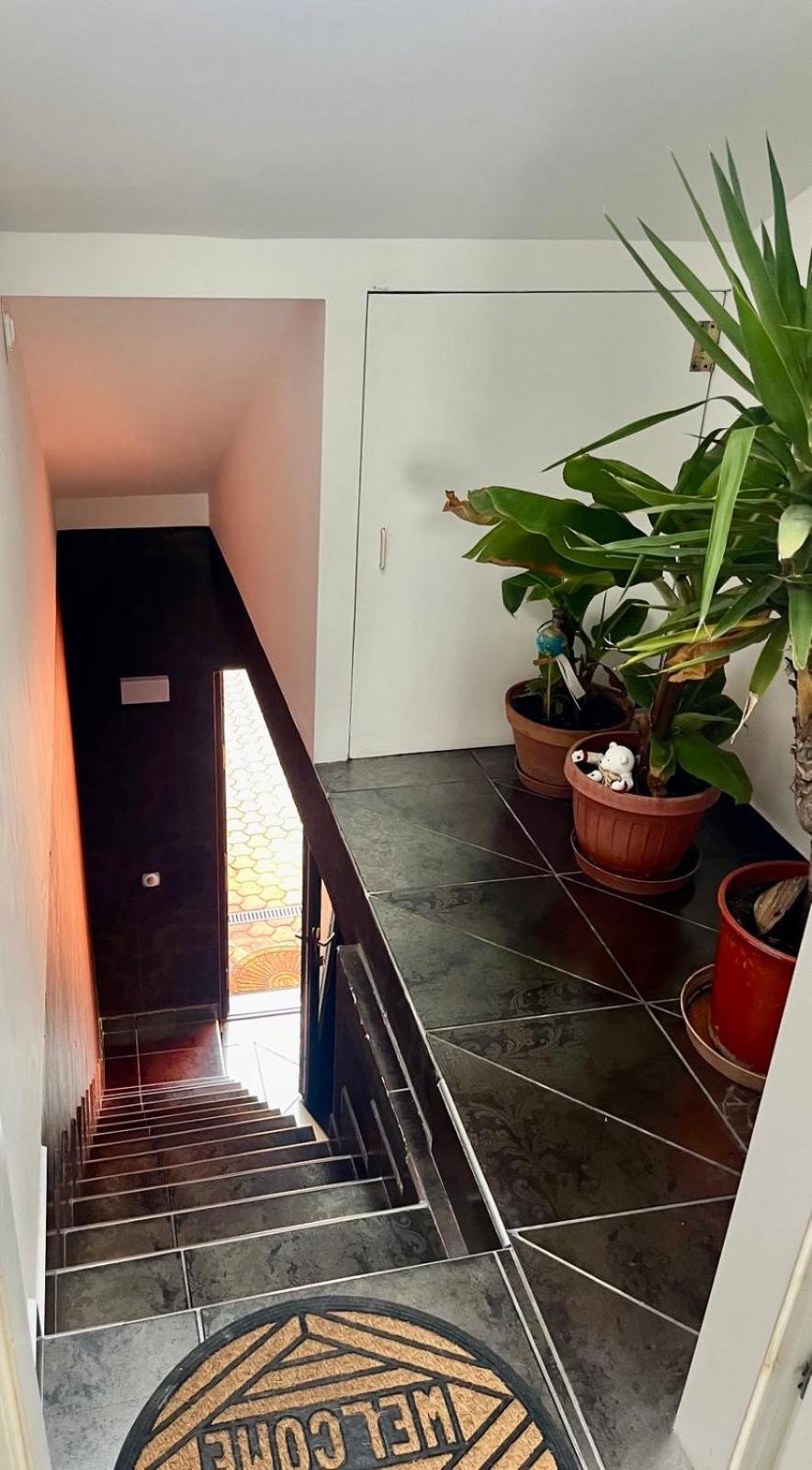 Chill Apartman Budakalász Dış mekan fotoğraf